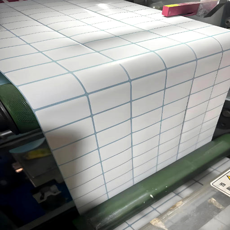 What Are Packaging Labels? Why Are They So Important?