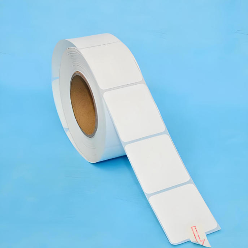 Do Direct Thermal Labels Need a Ribbon? A Comprehensive Guide to Direct Thermal Printing
