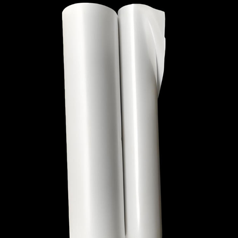 How to Choose the Right BOPP/PP Large Roll Label Film?