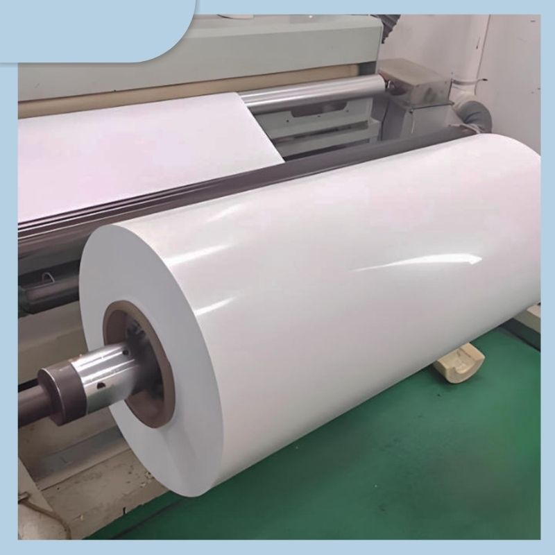Self Adhesive Jumbo Roll Label Paper PP Synthetic Sticker 75um Coated Bopp Film