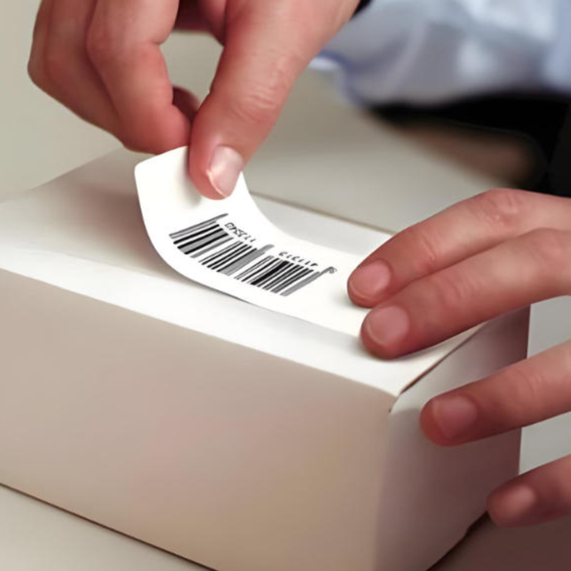 What Are the Requirements for Labels on Different Carton Materials?