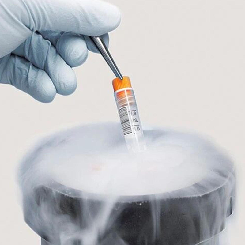Transparent & Fluorescent: BOPP Label for Small-Diameter Medical Vials